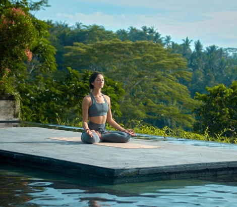The foundations of health & wellness
